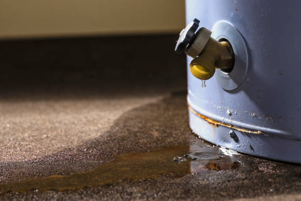 Best Local water damage restoration  in Conrad, IA