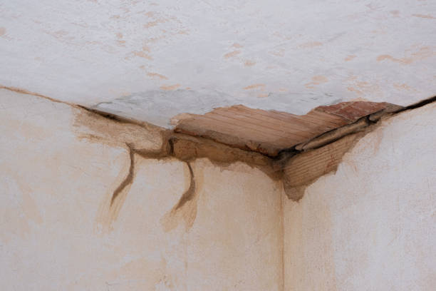 Best Water damage restoration near me  in Conrad, IA