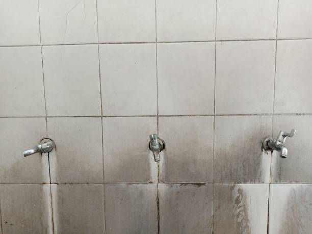 Best Carpet water damage restoration  in Conrad, IA