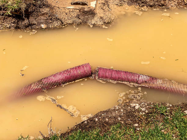 Best Professional water damage repair  in Conrad, IA